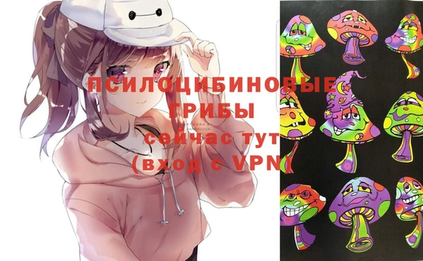 spice Абаза