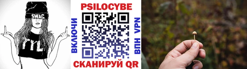 Псилоцибиновые грибы прущие грибы  Мамадыш 